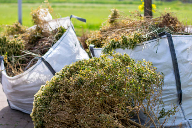 Best Local Junk Hauling  in Black Mountain, NC